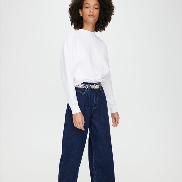 Wilfred free (Aritzia) Katy Sweater - Picture 2 of 6